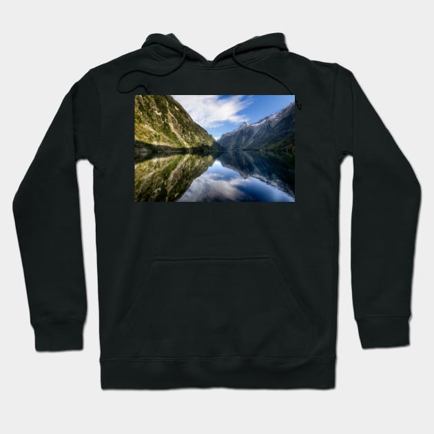 Doubtful Sound 2 Hoodie by charlesk